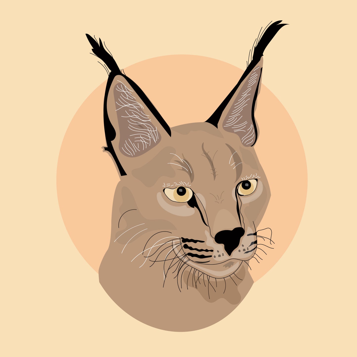 Wildlife T-Shirts - The Caracal